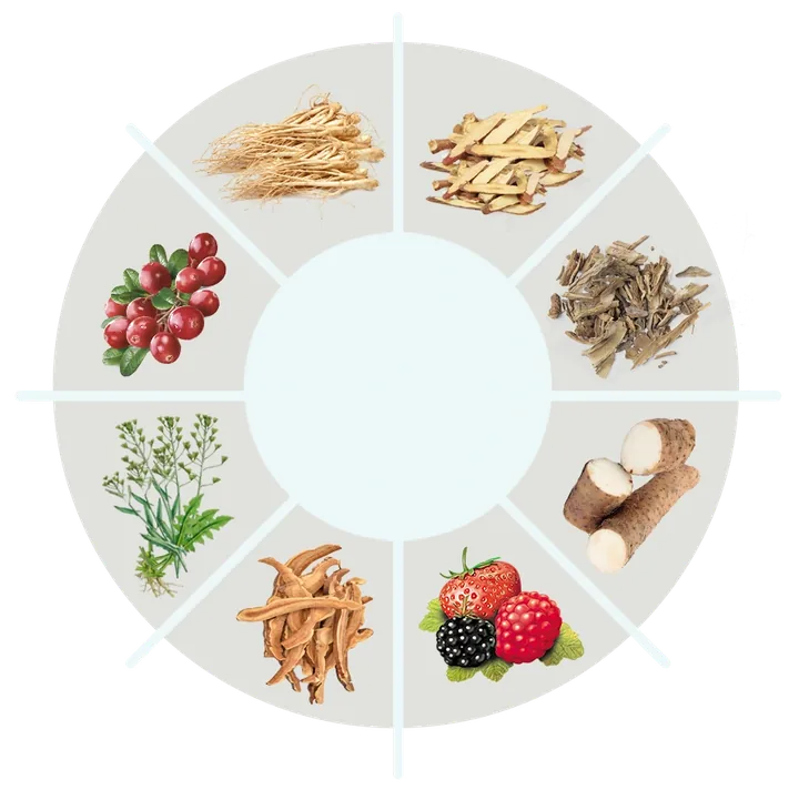 A circular collage of botanical and food images from The supplier