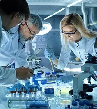 Two researchers at a laboratory bench, stock photography